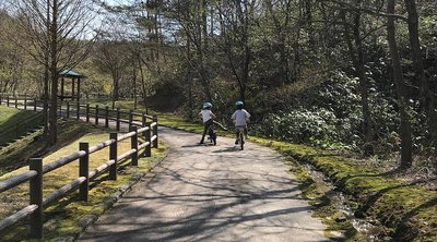 🏞️ 아키타시 태평산 리조트 공원
